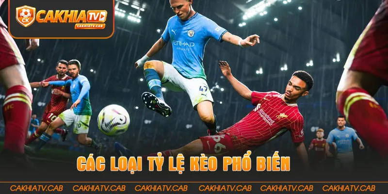 Các loại Tỷ Lệ Kèo phổ biến người mới cần biết